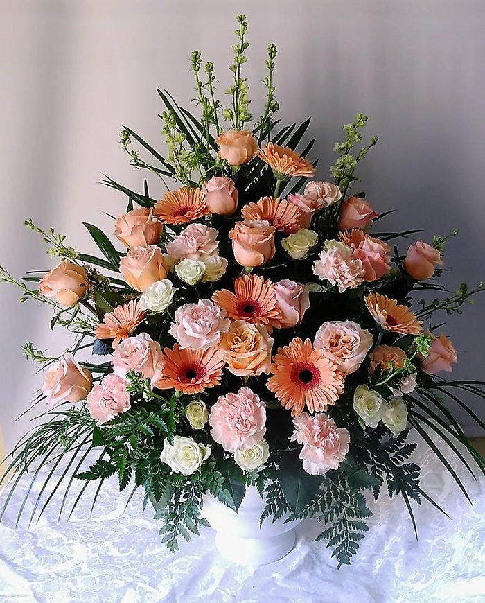 Coral Condolences