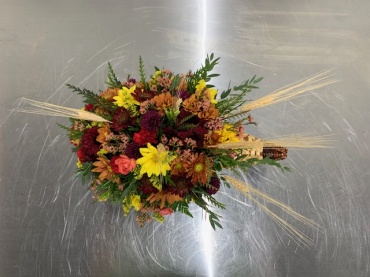 Phyllis\' Cornucopia