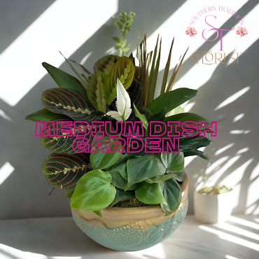 Medium Dish Garden