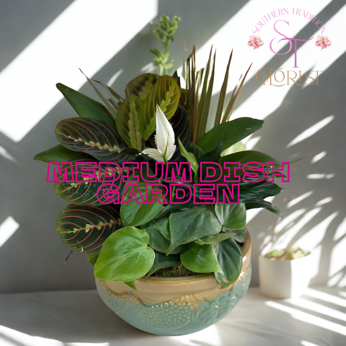 Medium Dish Garden