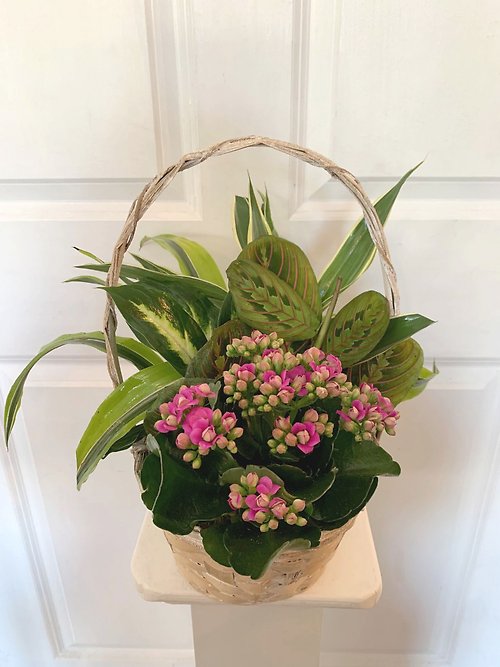 Small European Garden Basket