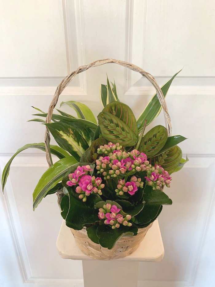 Small European Garden Basket