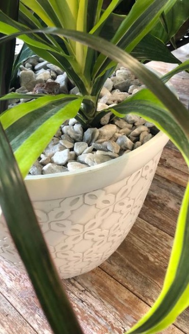 Mass Cane Combo in Resin Pot