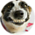 JP