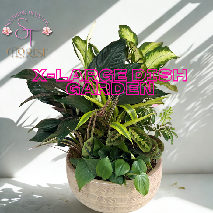x-Large Dish Garden