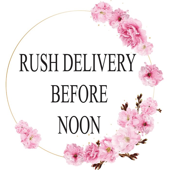Rush Delivery-Before Noon