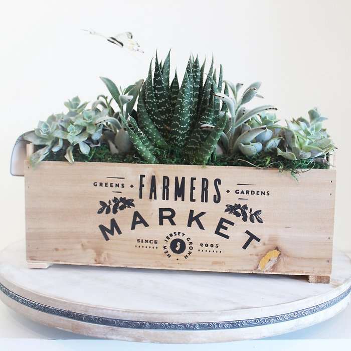 Rustic Succulent Garden