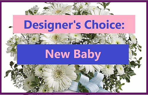 Designer\'s Choice: Welcome New Baby!