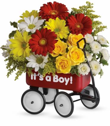 Baby Boy\'s First Wagon