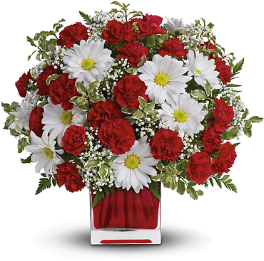 Red and White Delight