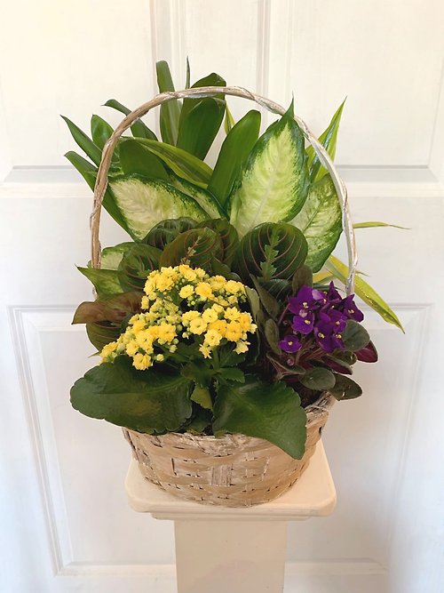 Large European Garden Basket