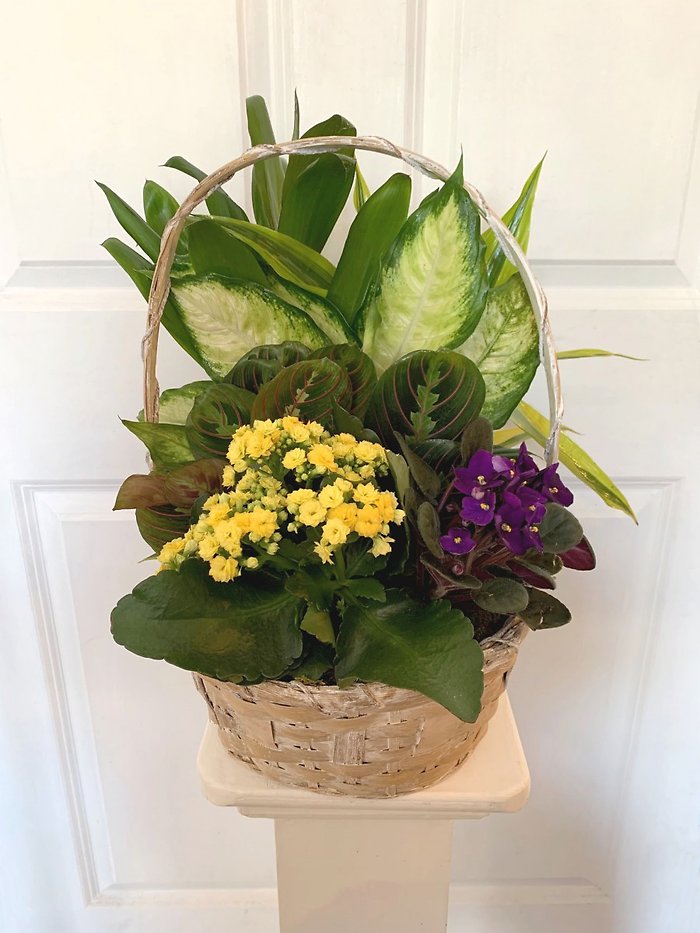Large European Garden Basket