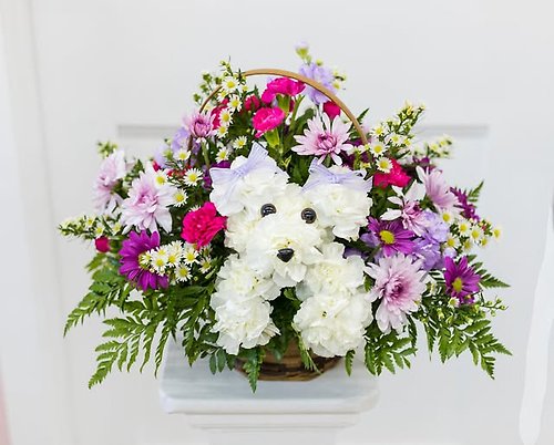 The Pick-me-up Puppy