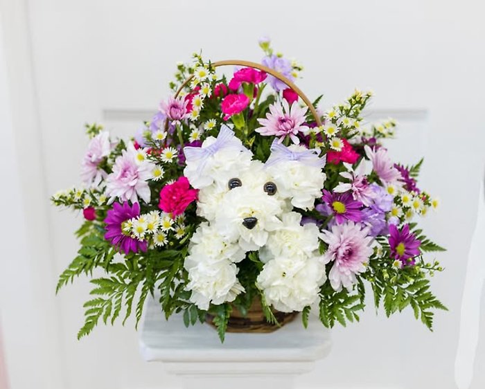 The Pick-me-up Puppy