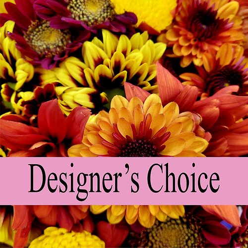 Designer\'s Choice Fall