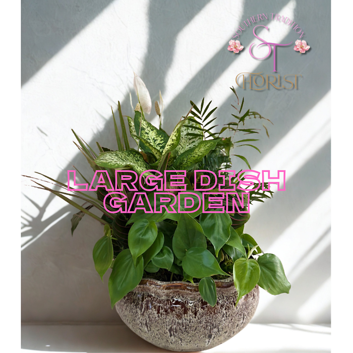 Large Dish Garden